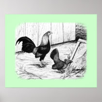 Old English Game Bantams:  Calendar Drawing Poster