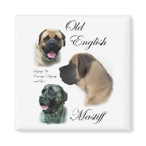 Old English Mastiff Gifts magnets