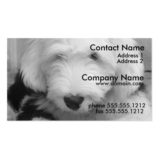 Old English Sheep Dog Business Card (front side)