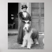 Old English Sheepdog, 1915 Poster