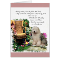 Old English Sheepdog Art Gifts card