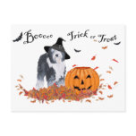 Old English Sheepdog Halloween Post Cards