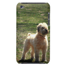 Old English Sheepdog  iTouch Case Barely There iPod Covers