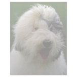 Old English Sheepdog Letterhead