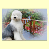 Old English Sheepdog Spring Day cards