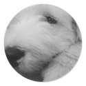 Old English Sheepdog stickers by pnloverme Old English Sheepdog stickers