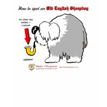 Old English Sheepdog t-shirts by HeartofDogness Old English Sheepdog t-shirts