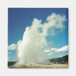 Old Faithful Fridge Magnets