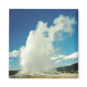 Old Faithful magnets