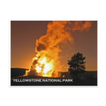 Old Faithful Sunset postcards