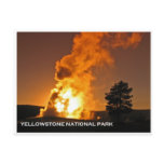 Old Faithful Sunset postcards