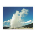 Old Faithful @ Yellowstone National Park postcards