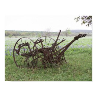 Old Farm Buggy in Bluebonnets print
