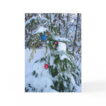 Old fashioned Christmas Tree -outside Card