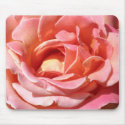Old Fashioned Climbing Rose mousepads by charlesblack7 Old Fashioned Climbing Rose mousepads