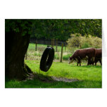 Old Fashioned Country Tire Swing Greeting Card
