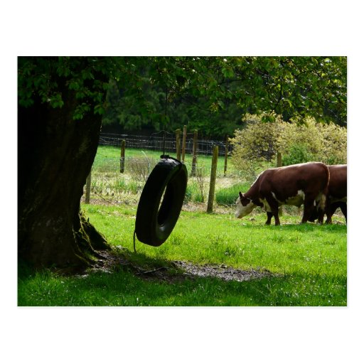 Old Fashioned Country Tire Swing Postcard