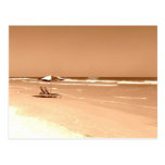 Old Fashioned Daytona Beach Photograph Post Cards