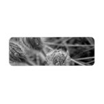 Old Fashioned Flowers Custom Return Address Label