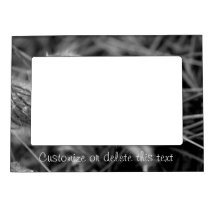 Old Fashioned Flowers; Customizable Frame Magnets