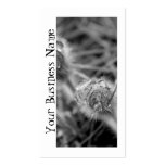 Old Fashioned Flowers; Promotional Business Card Templates