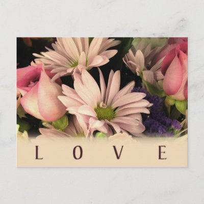 Love Postcard