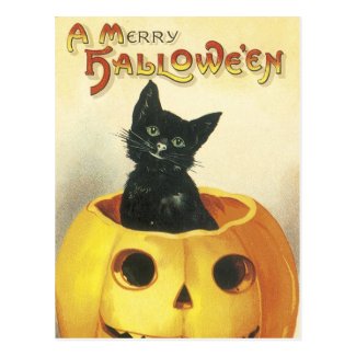 Old Fashioned Merry Halloween Cat Post Card