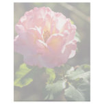 Old Fashioned Pink Rose flowers Letterhead Template