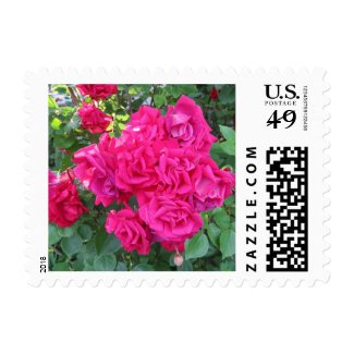 Old Fashioned Red Roses Postage