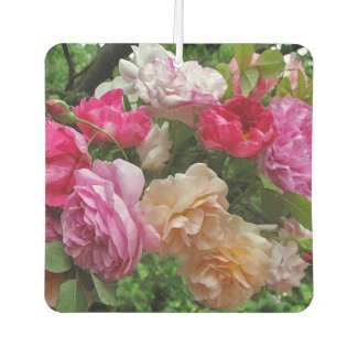 Old Fashioned Rose Flowers Air Freshener