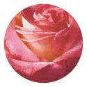 old fashioned rose stickers
