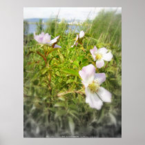 old-fashioned roses by Fox Creek & Columbia River Posters