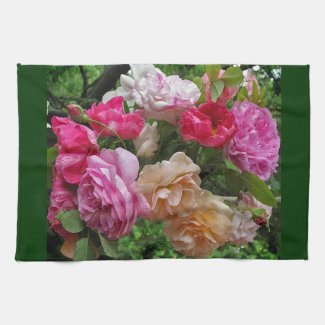 Old Fashioned Roses Kitchen Towels