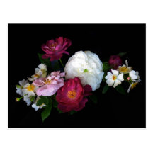 Old fashioned roses post cards