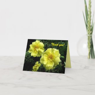 Old fashioned Yellow Rose Thank You card