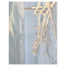 Old fence in Eidon Weir, Bonnie Doon, Victoria, Au Letterhead Design