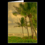 Old Florida cards