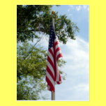 Old Glory Postcard postcards