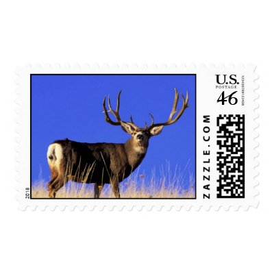 Old Gnarly Postage Stamps by lethanaylor24