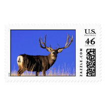Old Gnarly postage by lethanaylor24 Old Gnarly postage