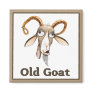 Old Goat