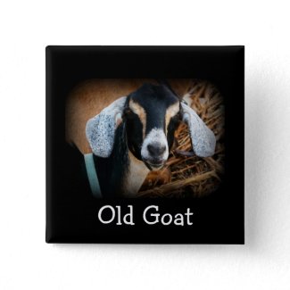 Old Goat Pin Badge button