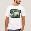 Old Goat t-shirts by Dalegoat Old Goat t-shirts