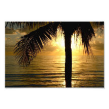Old Gold Palm Art Photo