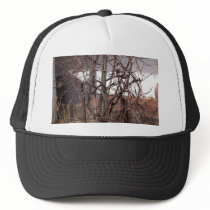Old Grape Vines hats by lifesphere Old Grape Vines hats