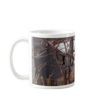 Old Grape Vines Mugs