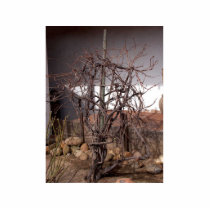 Old Grape Vines photo sculptures by lifesphere Old Grape Vines photo sculptures