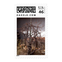 Old Grape Vines Postage Stamps