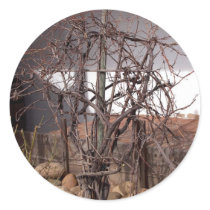 Old Grape Vines Sticker