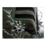 Old Green Tractor Grill with Frozen Flower Postcard